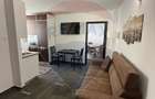 Apartament cu 2 camere de inchiriat in zona Precista - 13