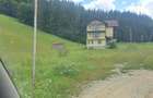 Teren intravilan Valea Doftanei (Din?easa) Zona Turistica - 3