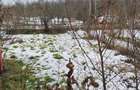 Casă cu Teren 507 Mp în Valea Bradului - 1