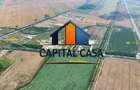 Proprietate Industrială & Logistică – Jilava (Nod A0 / Centură) - 10