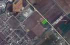 Teren de 8000 mp, în Torontalului - 2
