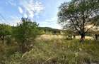 Comision 0% Teren intravilan construibil | 2848mp | Front 17m | Gilau - 2