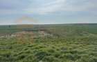 Teren intravilan 10.000 mp | DN | in Zona Volvo - Hala Neagră - 3