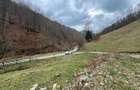 Teren intravilan 1.28ha Remeti–perfect pensiune/cabane, zonă turistica - 5