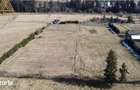 Pepiniera in Bucovina cu teren 2 hectare - 11