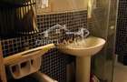 Apartament cu 3 camere de inchiriat-str Moldovei-Zona Tudor - 14