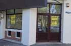Spatiu comercial 27 mp stradal Calea Mosilor
