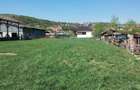 Teren intravilan Dezmir - 8
