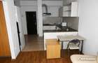 Apartament cu o camera, Plopilor, Parcul Rozelor - 3