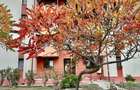 Apartament 2 camere, 81mp, Micalaca - 1