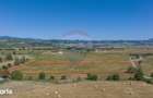 Teren Bran -Sohodol, Strada La mesteceni, 6900mp