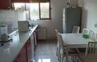 Apartament 2 camere Snagov - 4