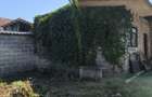 Vind casa in comuna Brateiu - 1