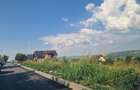 Vand teren in Moara Grecilor, Vaslui - 4