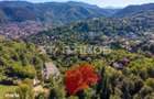 Teren intravilan zona Schei Brasov