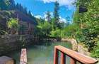 Proprietate de vanzare Sat Cheia - Prahova