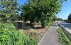 Teren intravilan de vanzare, 2.000 mp, deschidere 30 m - 6
