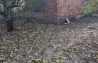 Vand casa (pla?) 1078 m2 - 3