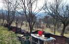 Teren Intravilan 43Ari zona Ortelec-Zalau intre case 4800eur/ar - 6