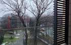Apartament de lux cu terasa ?i vedere directa la Parcul Herastrau - 11