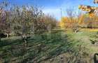 Teren Intravilan 3325 mp Magurele Prahova , Oportunitate ! - Magurele (Prahova) - 1