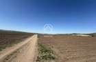 TEREN EXTRAVILAN DE VANZARE | 23 EURO/MP | 2900 MP | ZONA AEROPORT - 4