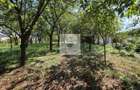 Vila P+1 in Simeria central 320 mp, teren 1000 mp, toate utilitatile - 12