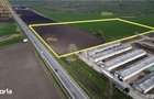 Teren 4Ha la Dn17 deschidere 200m - 4