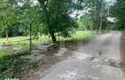 Teren Podari, 400 mp, zona Sat Vacanta - 3