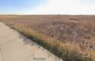 Pret redus! 10000mp intravilan Snagov Peris Tancabesti - 8