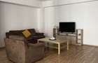 De inchiriat apartament 2 camere zona Nufarul - 4