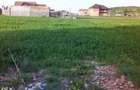 Teren 1381 mp intravilan Cristian jud Brasov - 10