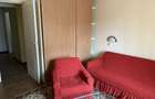 Apartament cu 2 camere decomandat în Turnișor - 5