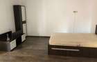Inchiriere apartament la casa - 7