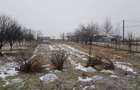 vand casa in chichis - 10