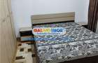 Apartament 2 Camere Salaj - 11