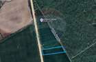 Teren agricol de 6000 mp, în Ciolpani - 4
