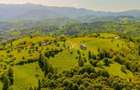 Teren extravilan de 2000 mp, în Peștera - 19