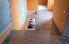 Casă cu 3 camere cu Teren 300 Mp în Brătianu - 3