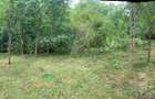 Teren intravilan 1.799 mp zona A Triaj - 3