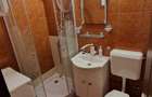 Apartament cu o camera Lipovei - 8