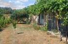 Casă individuală cu 4 camere cu Teren 945 Mp în Cobadin - 1