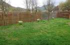 Casă cu 3 camere cu Teren 589 Mp în Bucureșci - 9