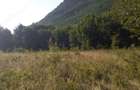 Teren de 700 mp, în Roșcani - 5