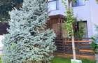 Apartament cu 3 camere decomandat în Băneasa - 15