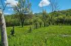 Teren in zona Calimanesti-Caciulata, cu iesire la parau - 7