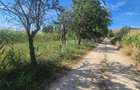 Teren intravilan Benic - 8