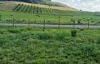 Teren intravilan - pret 29500 euro - 6