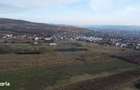 Teren 19.375 mp Dambu Rotund. Potential rezidential. Extravilan - 8