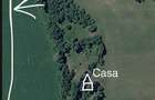 Teren de vanzare in apropierea localitatii Petrindu, Salaj + CASA CADOU - 2